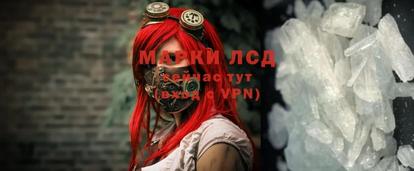 винт Алзамай