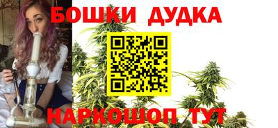 гидра Лесосибирск