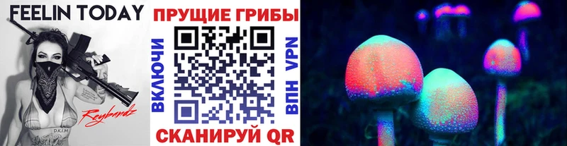 закладки  Еманжелинск  Псилоцибиновые грибы мицелий 