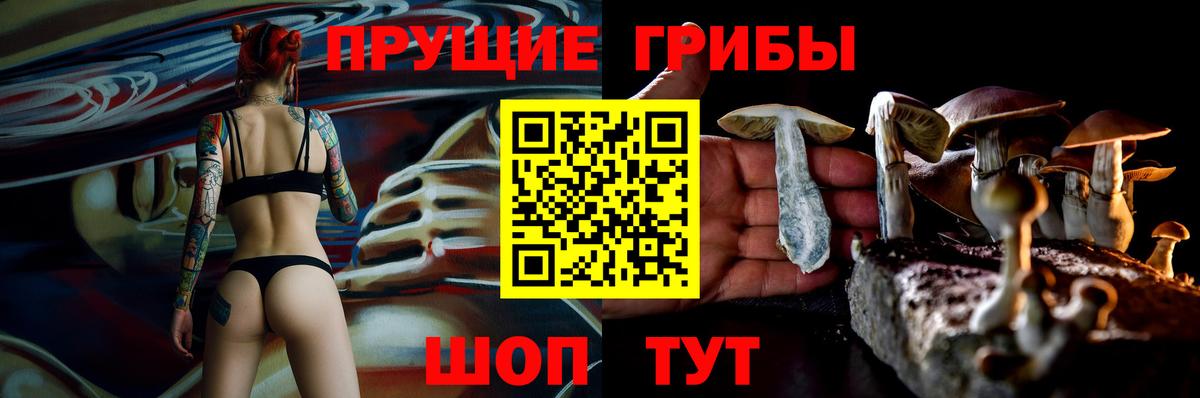 купить наркотики цена  Вход с VPN  Еманжелинск  Псилоцибиновые грибы мицелий 